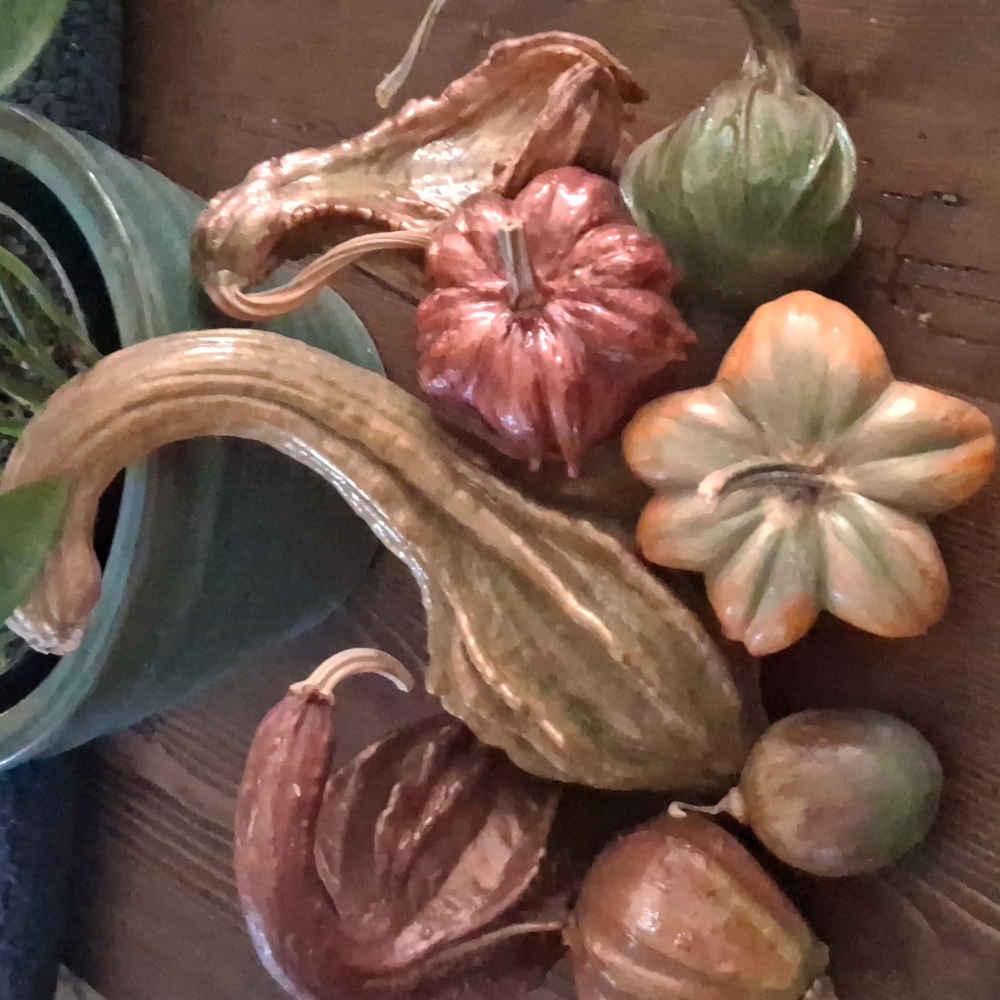 Rustic Dried Gourd Collection